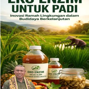 EKO ENZIM UNTUK PADI Inovasi Ramah Lingkungan dalam Budidaya Berkelanjutan