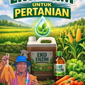 EKO ENZIM UNTUK PERTANIAN EKO ENZIM UNTUK PERTANIAN